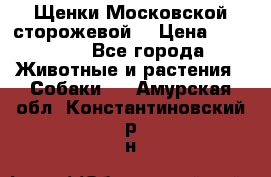 Щенки Московской сторожевой  › Цена ­ 25 000 - Все города Животные и растения » Собаки   . Амурская обл.,Константиновский р-н